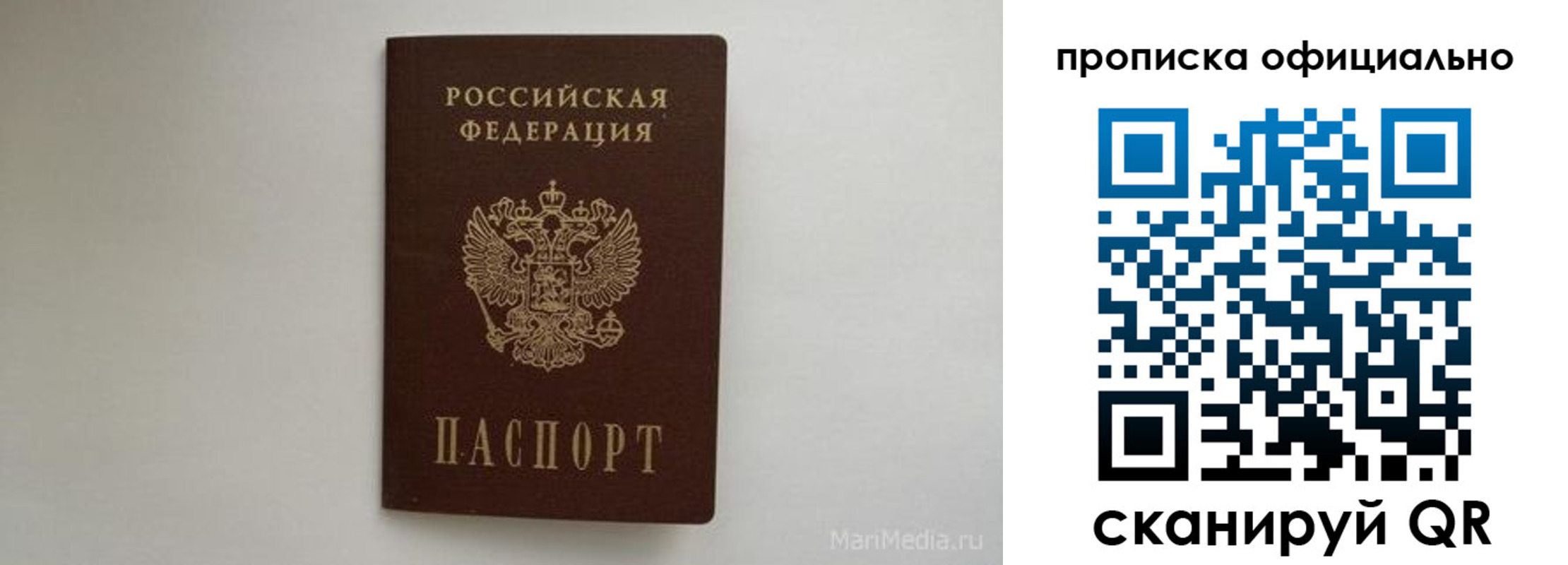 прописка в квартире в Стародубе